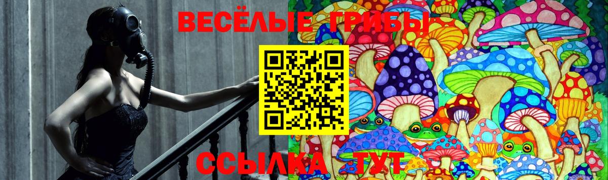 Красноуфимск  Псилоцибиновые грибы прущие грибы  Вход с VPN 
