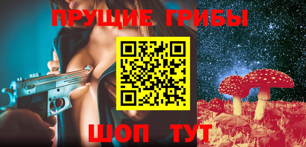 Псилоцибиновые грибы Psilocybine cubensis Красноуфимск